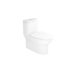American Standard Neo Modern 4.2/3L one-piece Toilet Bowl WC CL25315-6DACTCB