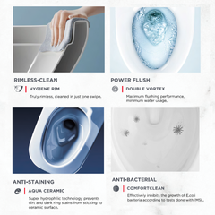 American Standard Signature Closed Coupled Toilet Bowl Back To Wall CL26225-6DAPHCB