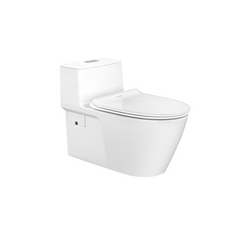 American Standard Acacia E SupaSleek 2.6/4L One-Piece Toilet Bowl CL20075-6DASGCBT